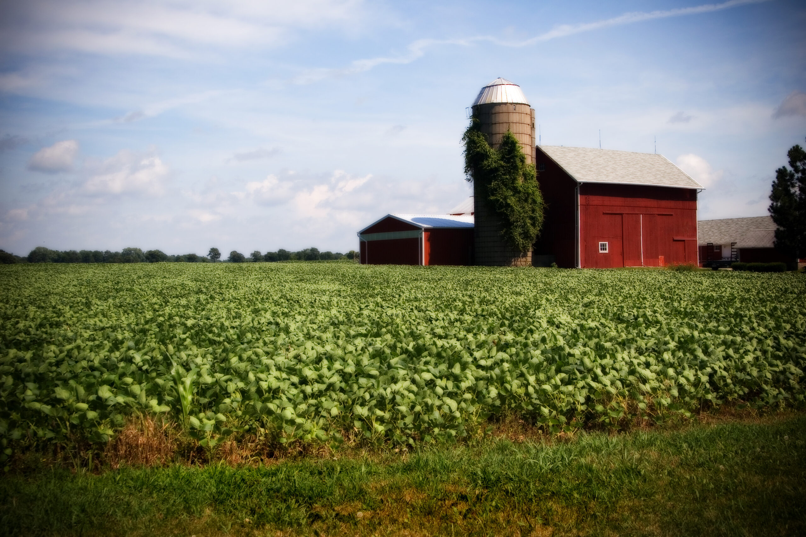 illinois farm